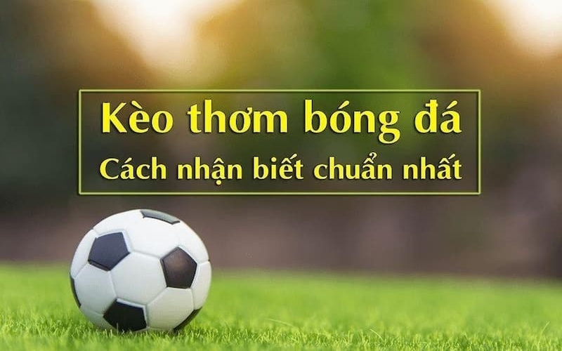 Kinh nghiệm nhận biết kèo thơm trong bóng đá