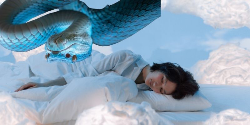 Mơ Thấy Rắn Đánh Con Gì : Bật Mí Bộ Lô Theo Cực Chuẩn 3 Chú ý khi tìm hiểu về việc mơ thấy rắn đánh con gì