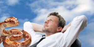 Mơ thấy rắn đánh con gì vừa được FB88 giải mã